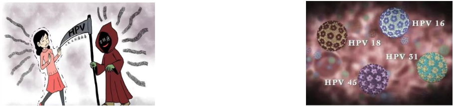 1717001138682.png 1717001138682.png