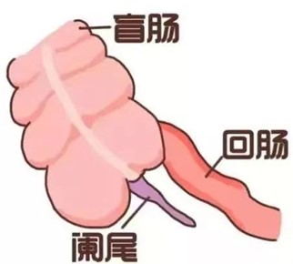 图片2.jpg 图片2.jpg