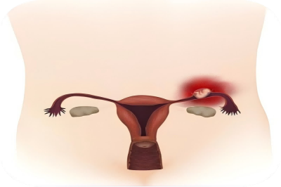 图片6(1).png 图片6(1).png